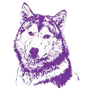 Wahpeton High School logo