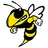 Sar