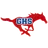 Grapevine