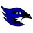 SJT
