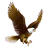 SJEL