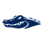 Asc.Episc.