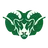 Badin