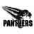 Pinnacle