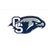 Cactus Shadows