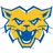 BGA