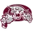 Ocosta