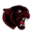 SVES