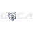 Global Academy