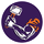 Danville Area High School logo