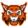 Verona Area High School logo