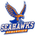 Cape Coral High School logo