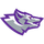 North Clarion High School logo