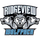 Ridgeview High School logo
