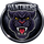 Pinnacle Canyon Academy logo