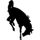 Jackson Hole High School logo