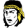 Fairview High School - Sherwood logo