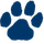 Pittsford logo