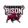 Bethel High School logo