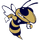 Thomas County Central High School logo