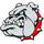 Boiling Springs High School logo