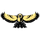 Seeley-Swan High School logo