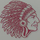 Nandua High School logo