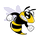 Coolidge High School logo
