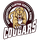 Northeastern Clinton Senior High School logo