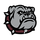 Palisade High School logo