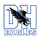 Deposit Senior High School logo