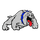 Brunswick High School logo