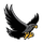 Andrew Hill High School logo