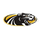 Chattahoochee Co. High School logo