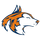 Naperville North High School logo