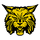 Carrier Mills-Stonefort High School logo