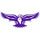 Coudersport High School logo
