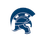 Shepaug Valley High School logo
