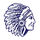 Clearwater High School logo
