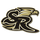 Staunton River High School logo
