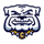 Chelsea High School logo