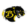 Baldwin High School logo