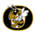 Oxford High School logo