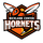 Richland Center High School logo