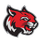 Superior High School logo