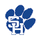 Spring Hill High School logo