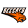 Beecher High School logo