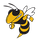 Hinsdale South High School logo