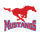 Parkland High School logo