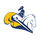Brookfield Academy logo